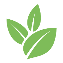 Buzz Tree Transplanting Service