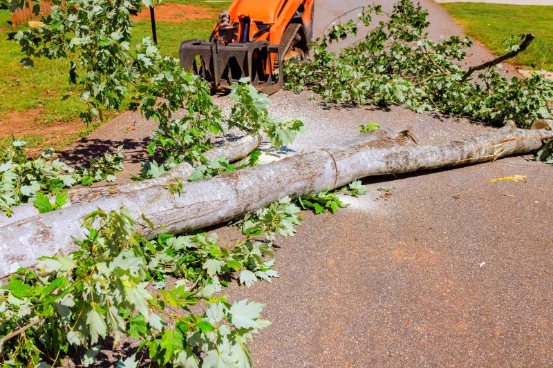 Fallen Tree Removal in Montgomery County, PA
