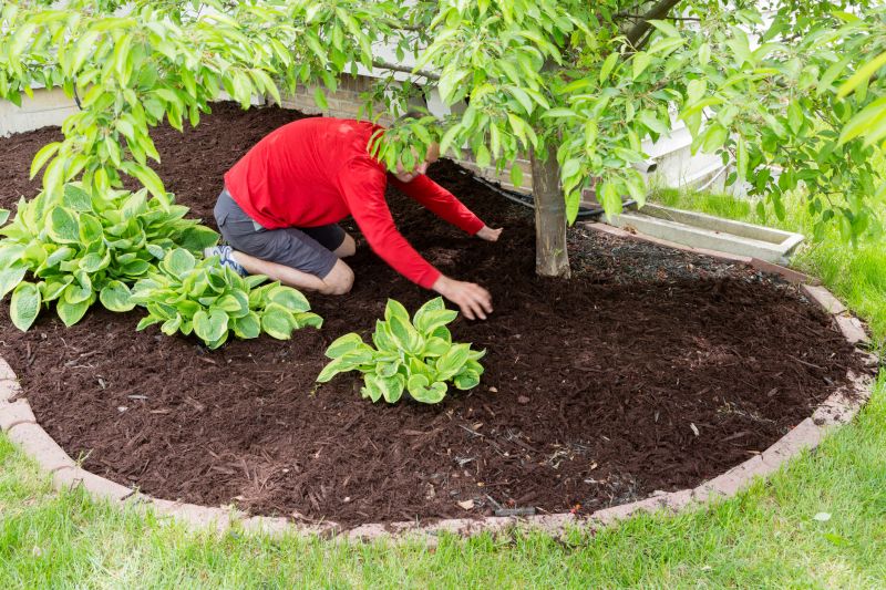 Mulching Benefits