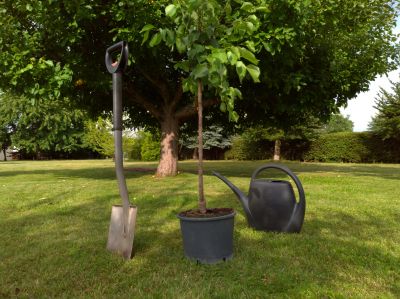 Enhancing Landscape Design