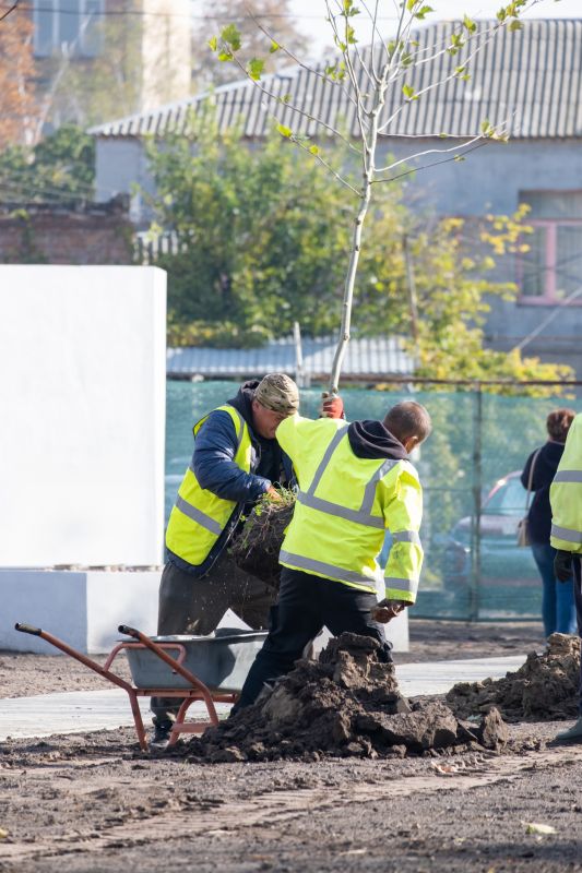 Local Tree Transplanting Service pros at work
