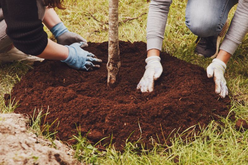 Tree Transplanting Service Listings